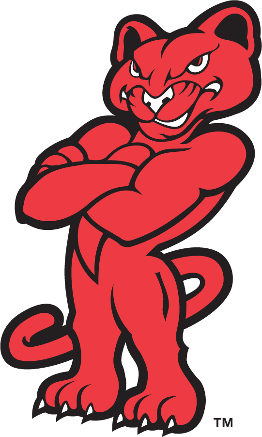 Houston Cougars 1996-2003 Mascot Logo t shirts iron on transfers
